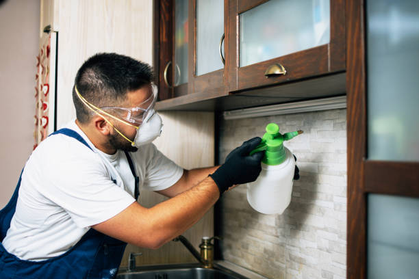 Best Termite Control Services  in Rio Vista, TX