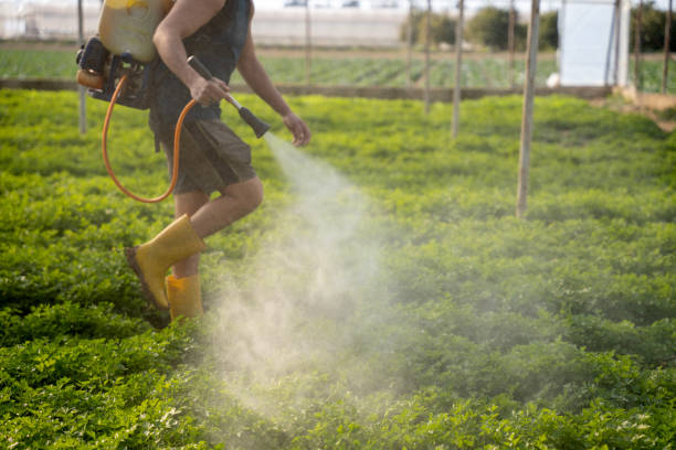 Best Pest Inspection Near Me  in Rio Vista, TX