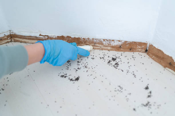  Rio Vista, TX Pest Control Pros
